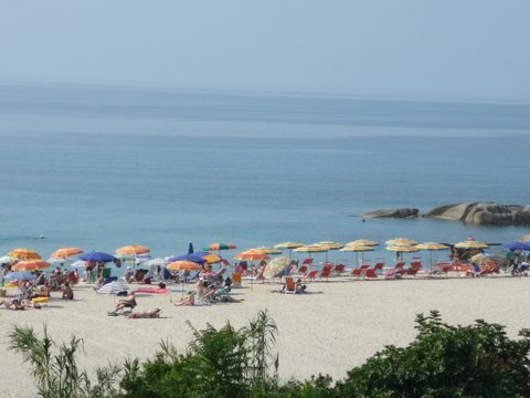 P1000467.JPG