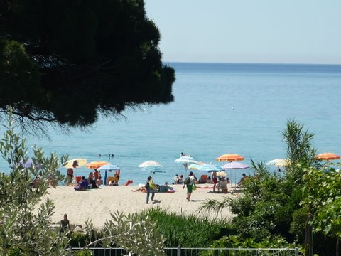 P1010177.JPG