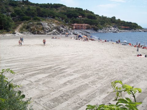 100_1974.JPG