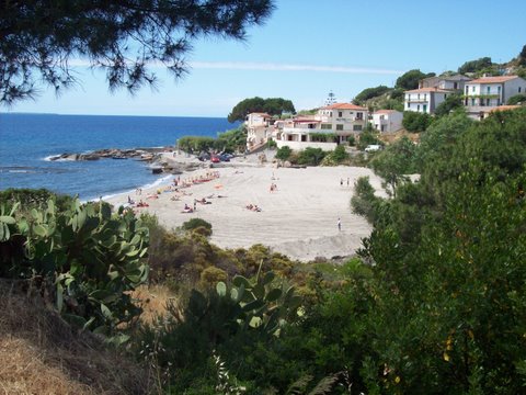 100_1977.JPG