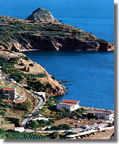 Pareti