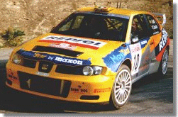 Immagini dal mondo del rallye