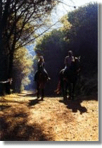 Escursioni a cavallo