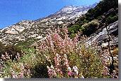 Elba e Natura